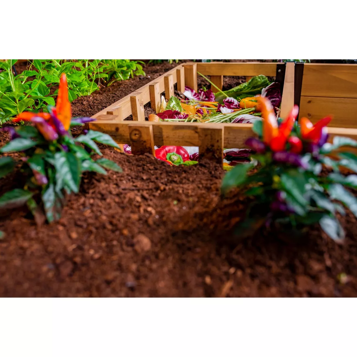 6'x6' Keyhole Garden Square Planter - Vita