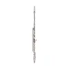 Allora AFL-250 Student Series Flute Offset G C-Foot