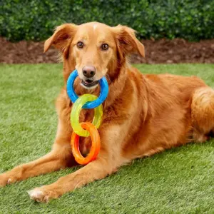 NERF TPR 3 Ring Tug Dog Toy - Blue/Green/Orange - 10.5
