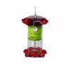 Birds Choice 1qt Forever Black Oil Sunflower Bird Feeder - Red