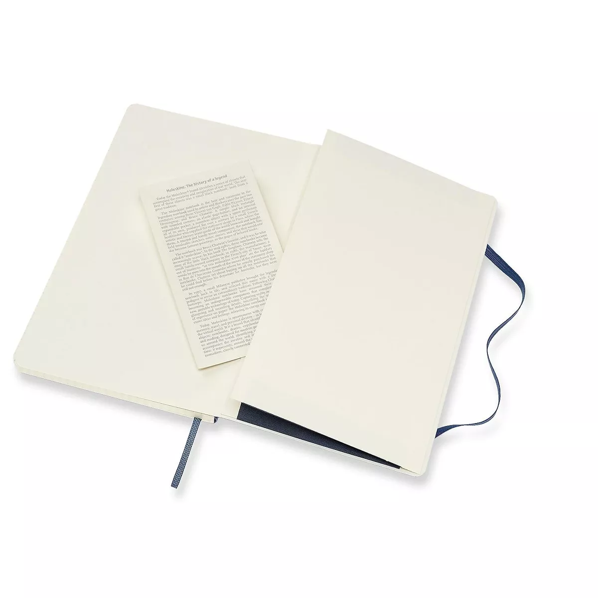 Moleskine Classic Notebook, Large, 5 x 8.25 715598