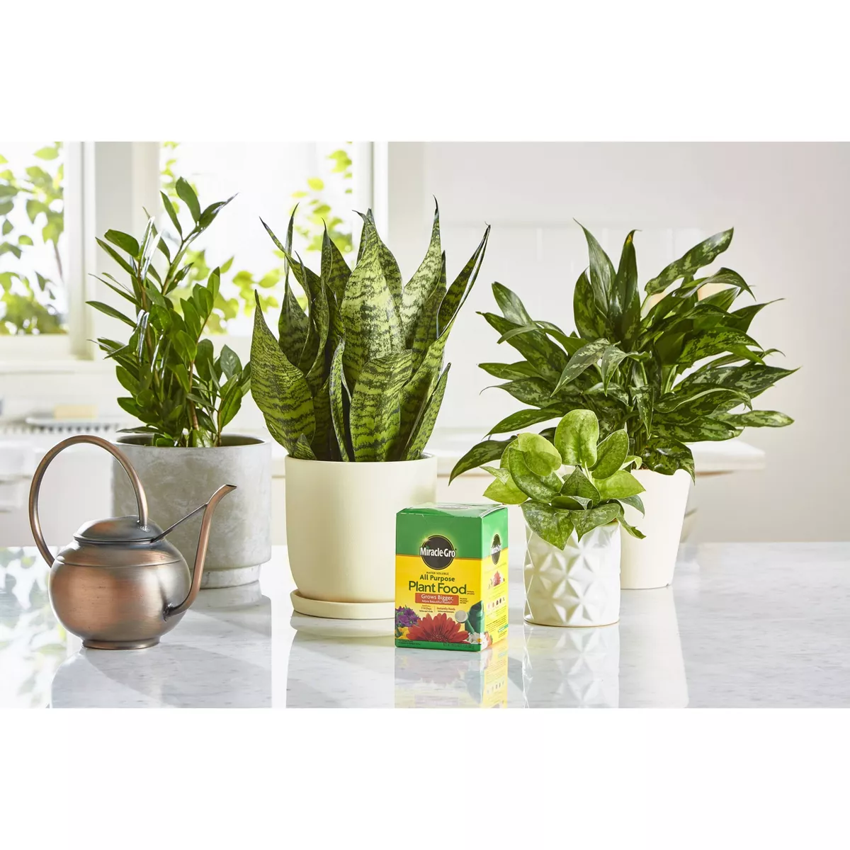 Miracle-Gro Water Soluble All Purpose Plant Food 1.5lb
