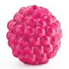 Planet Dog Orbee-Tuff Raspberry Dog Toy