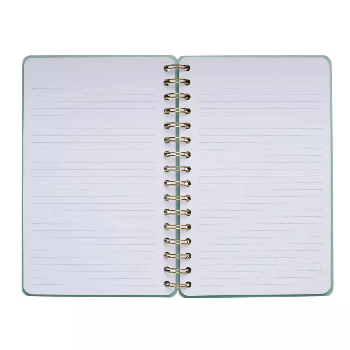 Lined Spiral Journal Guard Your Spirit - Be Rooted