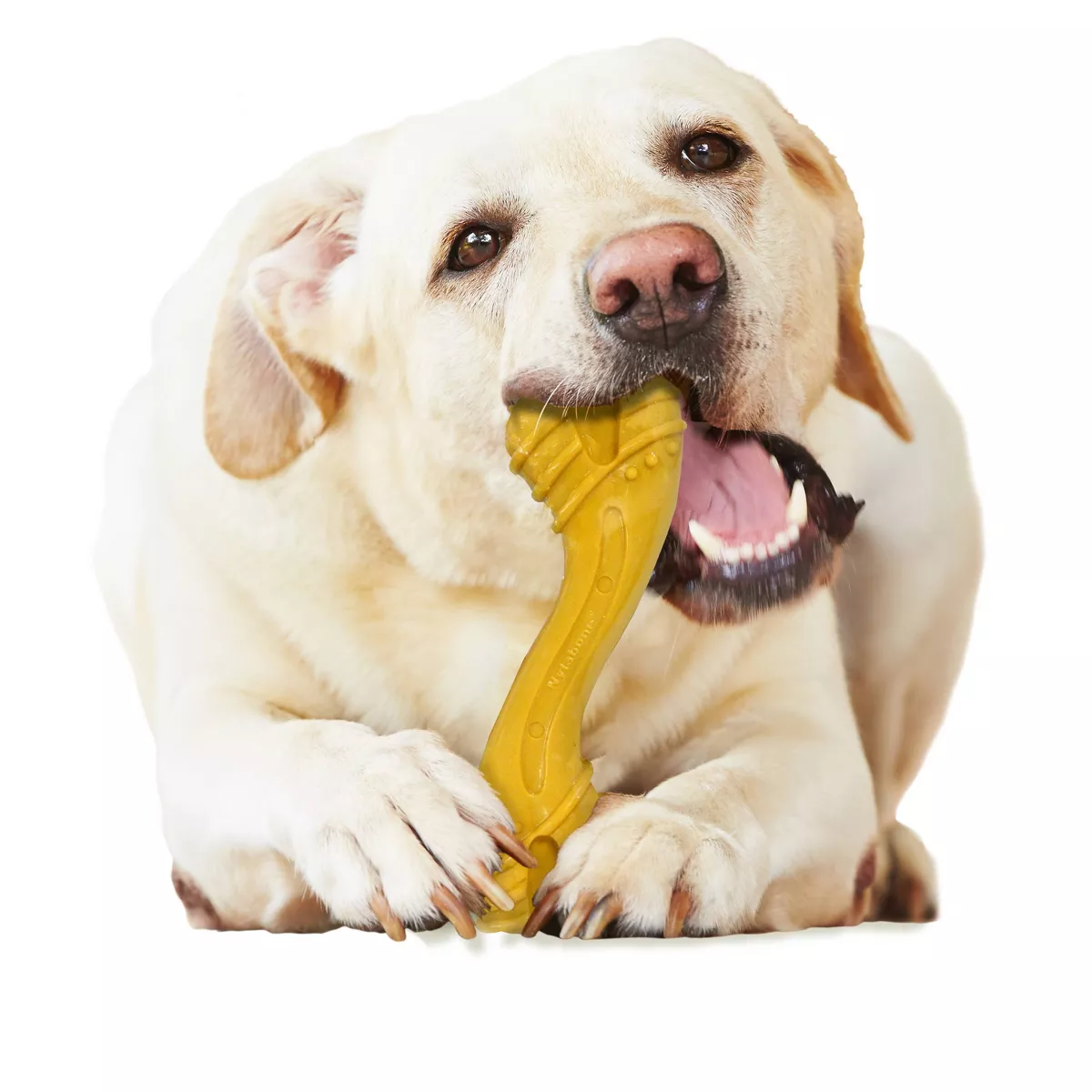 Nylabone Curvy Bone Dog Chew - L