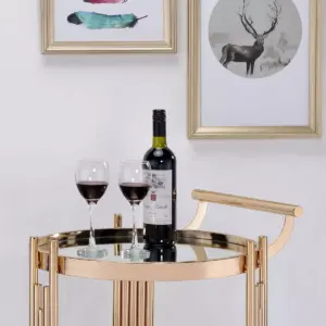 Ordlen Glass Top Serving Cart Gold - miBasics