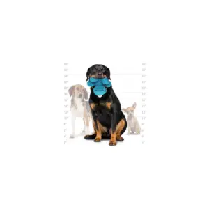 Tuffy Mighty Microfiber Ball Monster Dog Toy - M