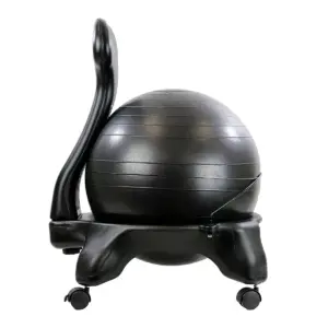 CanDo 30-1792 Ergonomic 20 Inch Plastic Exercise Ball Chair with Removable Back and Gliding Caster Wheels, Black