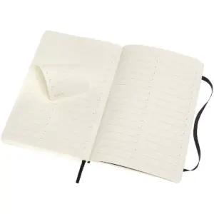 Assorted Publishers Moleskine Professional Notebook, 8.25 x 5 620787