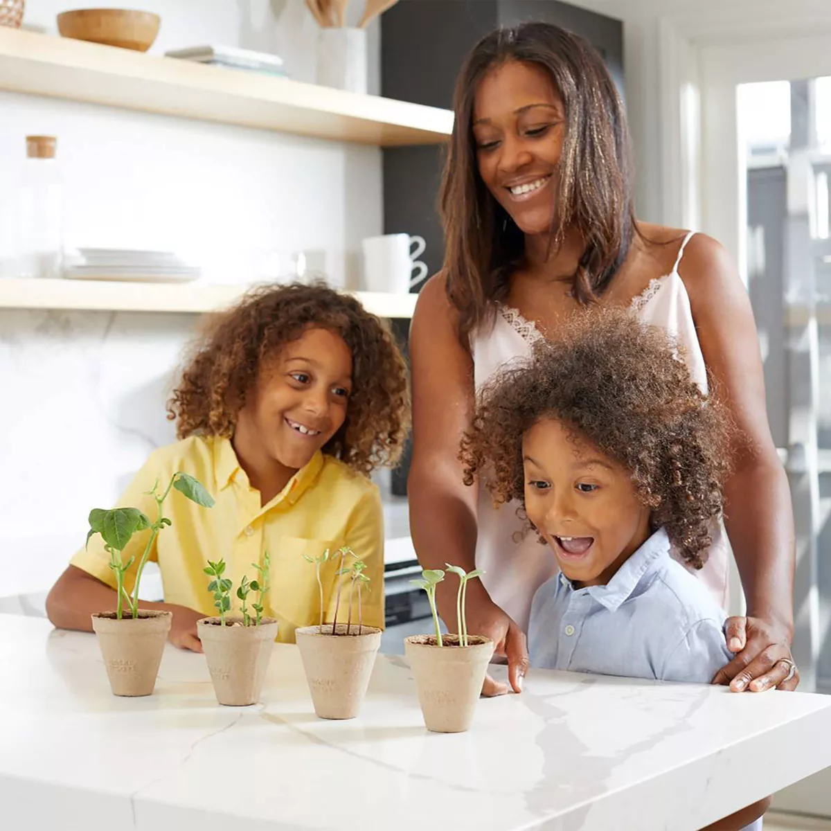 Back to the Roots Kids' Science Grow Kit - Bean
