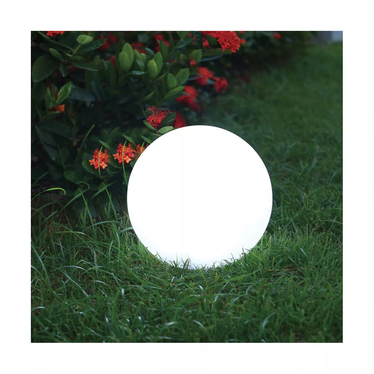 Allsop Glow 11.8