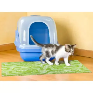 Drymate Cat Litter Trapping Mat - Surf Green