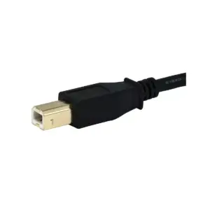 Monoprice USB Type-A to USB Type-B 2.0 Cable - 10 Feet - Black (3 Pack) 28/24AWG, Gold Plated Connectors, For Printers, Scanners, and other