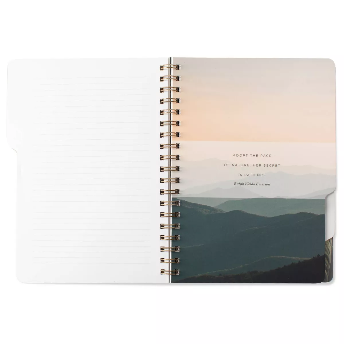 180 sheet College Ruled 5 Subject Spiral Notebook Large Tab Stay Curious - Fringe