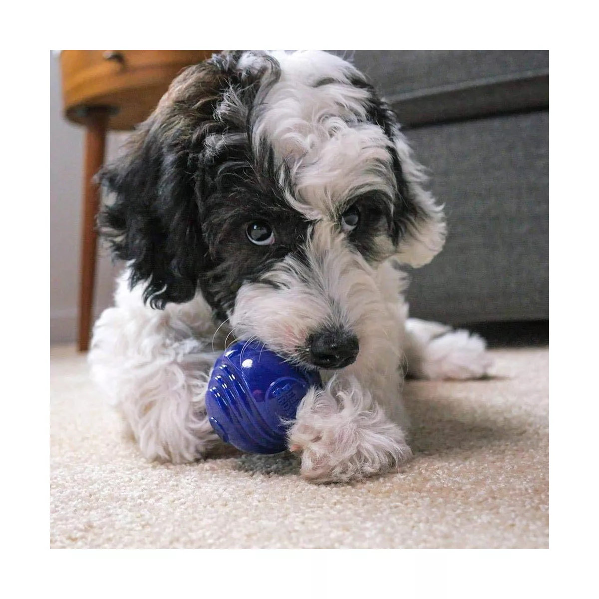 Rocco & Roxie Supply Co. Nearly-Indestructible Ball Dog Toy - 2.5