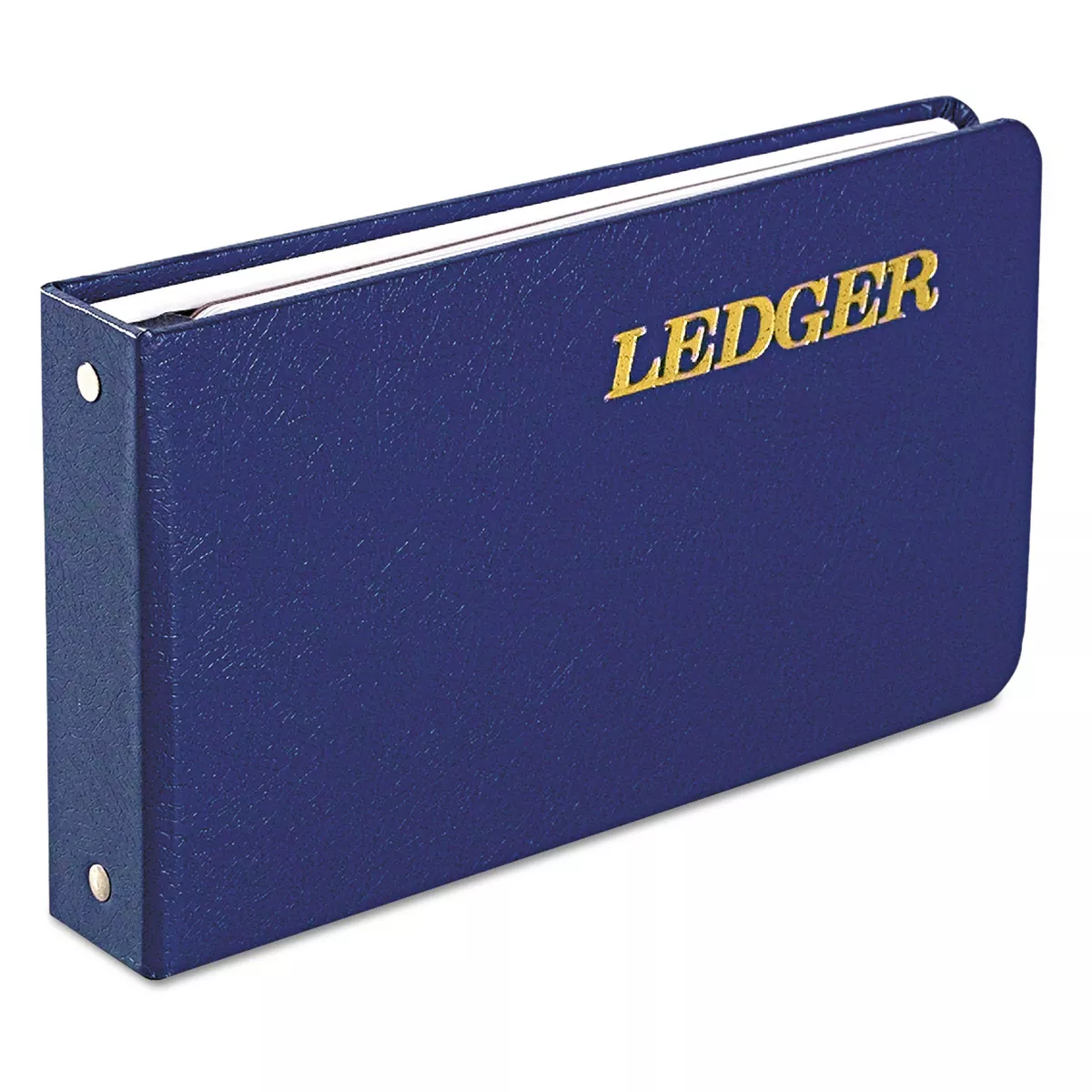 Wilson Jones Extra Sheets for Six-Ring Ledger Binder 100/Pack 75850