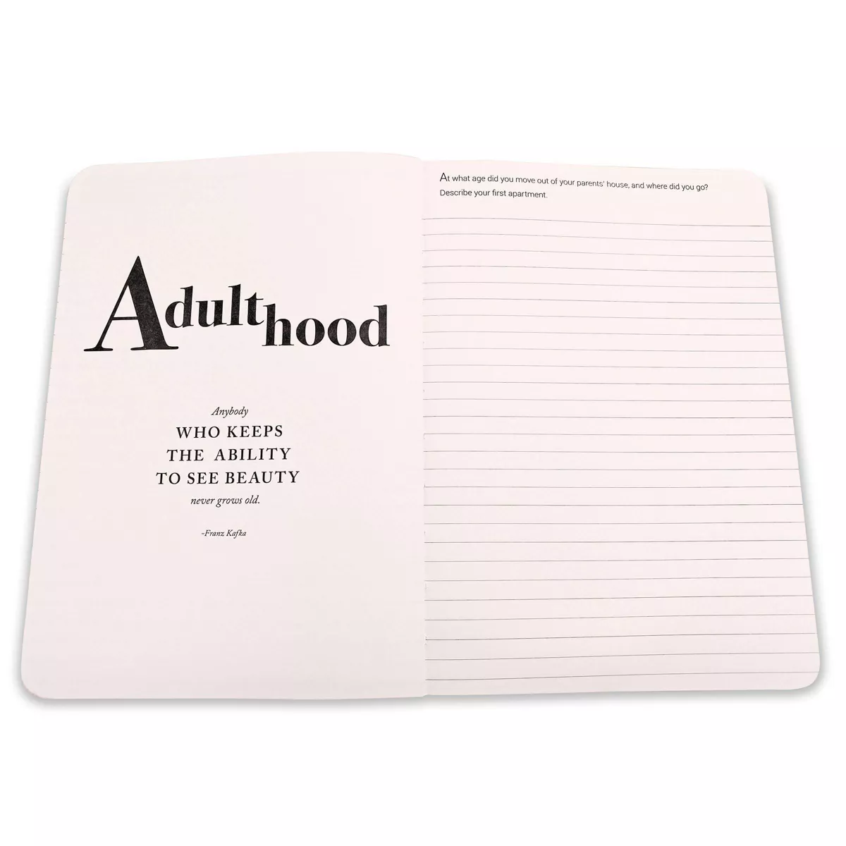 The Story of My Life Activity Journal - Piccadilly