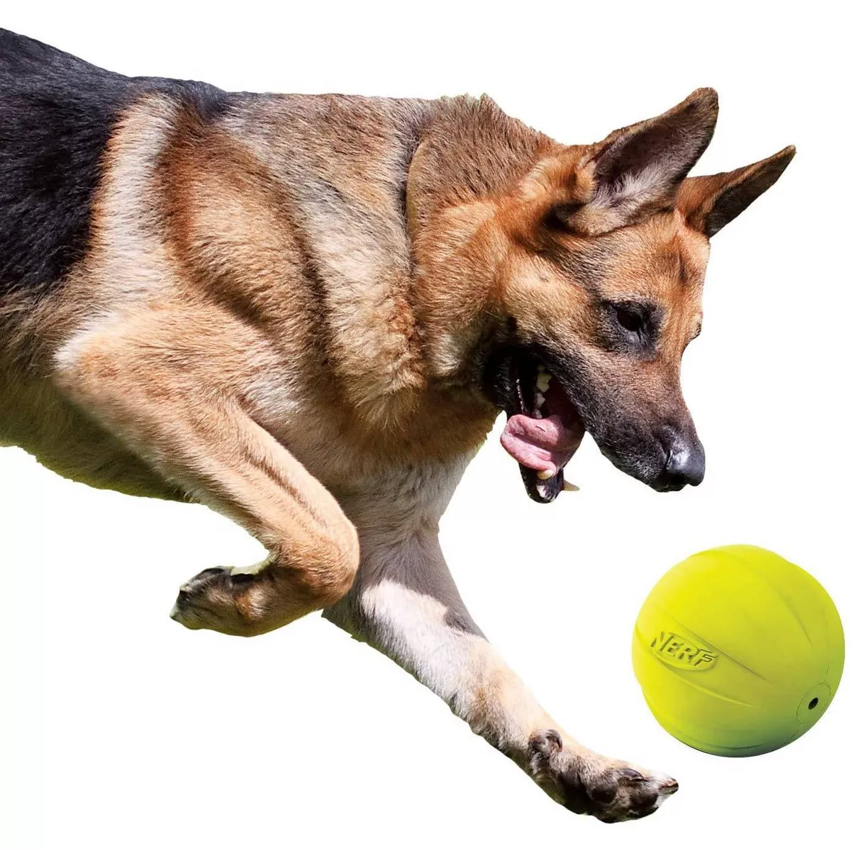 NERF Classic Squeak Ball Dog Toy - Green - 3.8