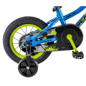 Schwinn Valve 12