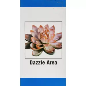 Leisure Arts Diamond Art Advanced Kit 14