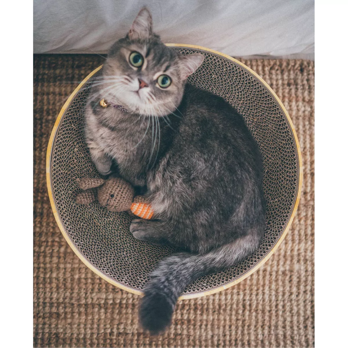 Necoichi Cozy Cat Scratcher Bowl