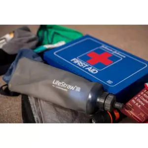 LifeStraw Activated Carbon Replacement Flex Play Filter
