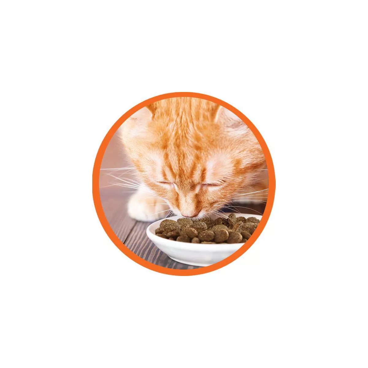 Iams Sensitive Digestion & Skin Dry Cat Food - 6lb