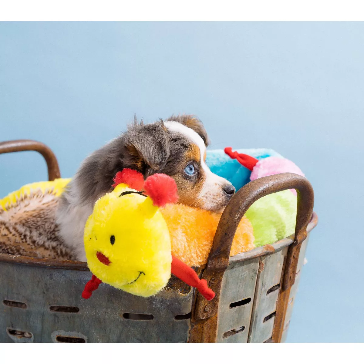 ZippyPaws Caterpillar Deluxe with Blasters Dog Toy - 30