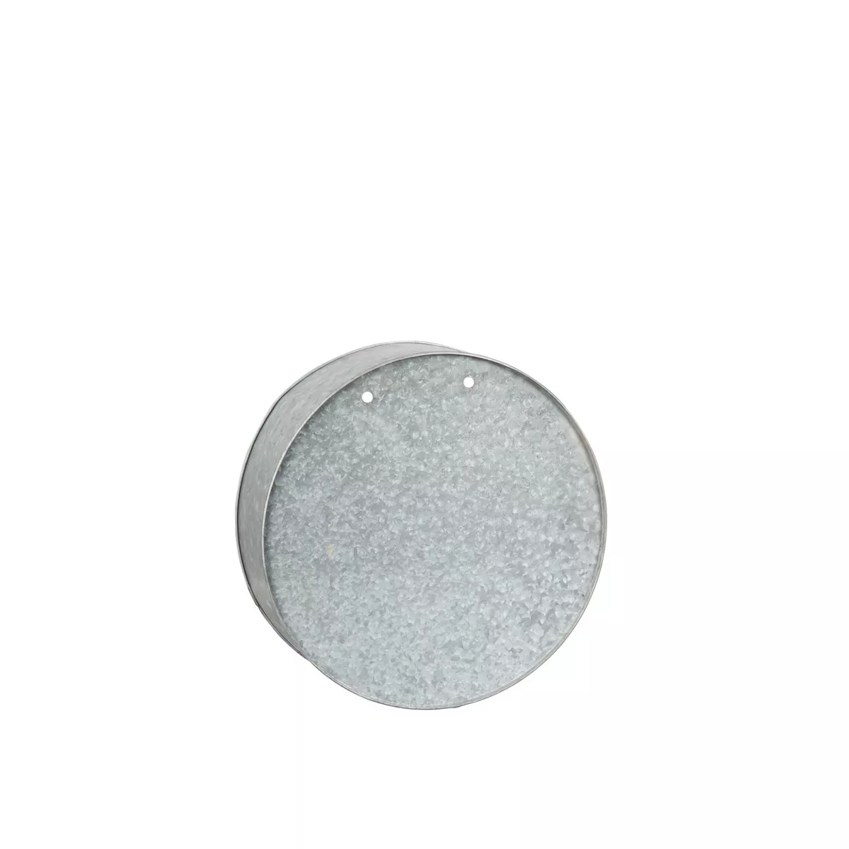Evergreen 8-inch Galvanized Metal Circle Wall Planter