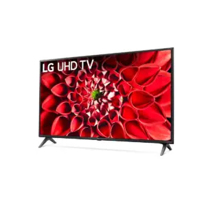 LG 55