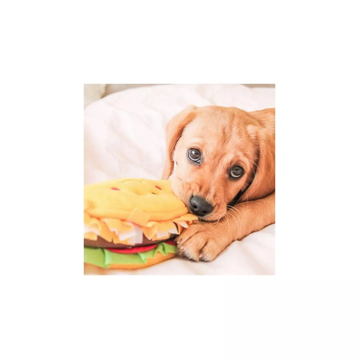 ZippyPaws NomNomz Taco Dog Toy