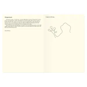 Guided Journal 500 Creative Prompts - Piccadilly