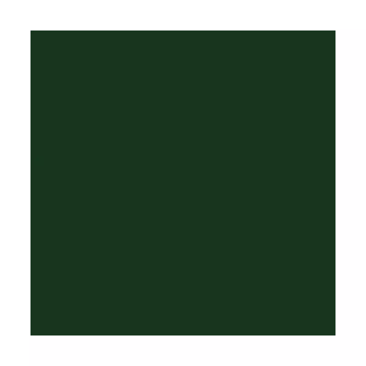 Rust-Oleum 12oz 2X Painter's Touch Ultra Cover Gloss Spray Paint Dark Green
