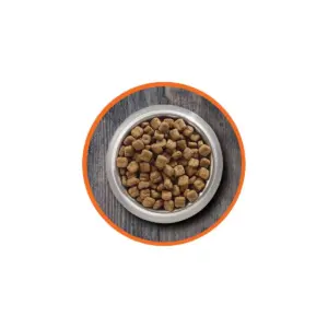 Iams Proactive Health Healthy Kitten Dry Cat Food - 16lbs