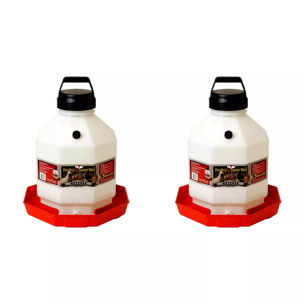 Little Giant PPF5 5 Gallon Automatic Poultry Waterer for Chickens, Red (2 Pack)
