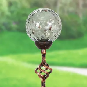 31