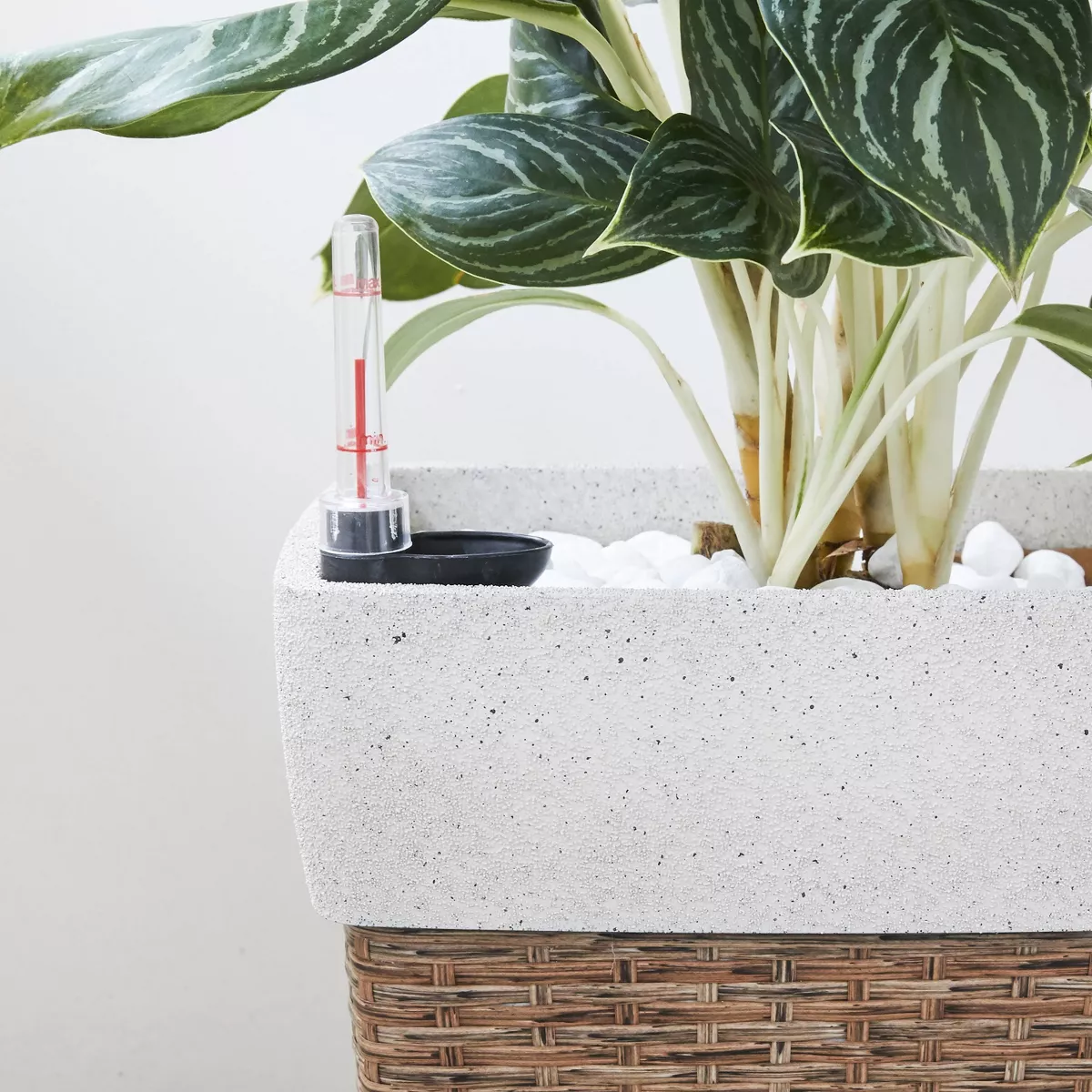 Martha Square Self-Watering Planter Sandy Brown - Vifah