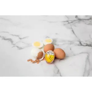 Taylor Color Changing Egg Timer