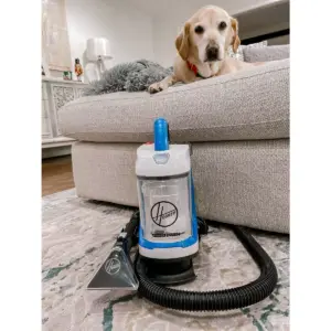 Hoover PowerDash GO Spot Carpet Cleaner - FH13010