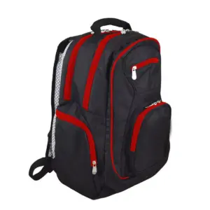 MLB Washington Nationals Colored Trim Laptop Backpack