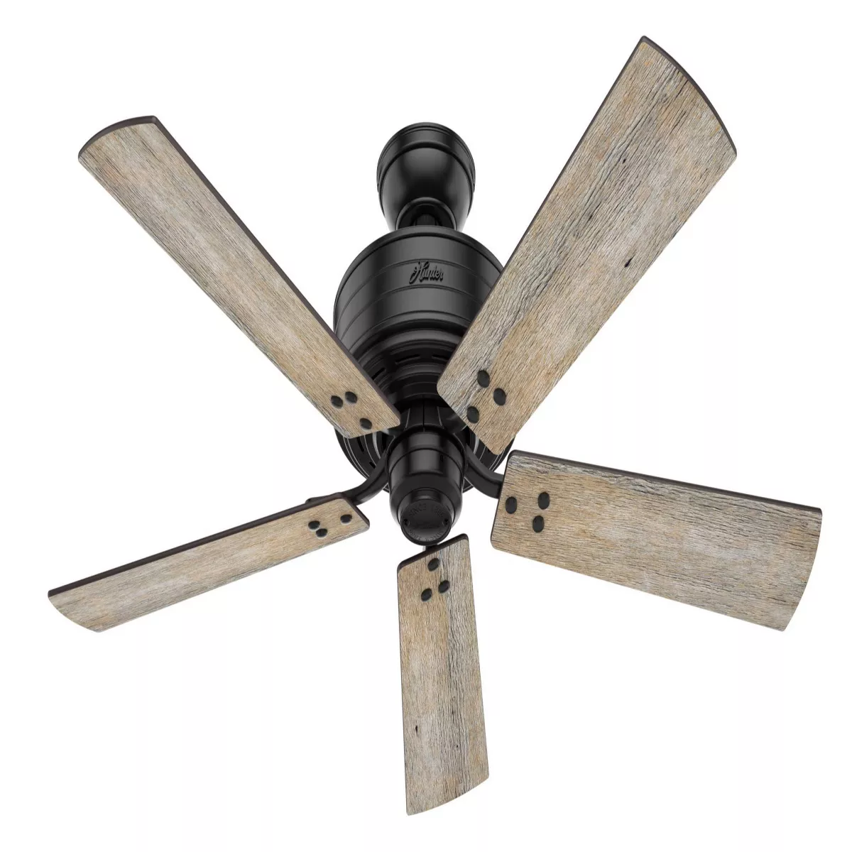 52" Cedar Key Damp Rated Ceiling Fan with Remote Black (Includes LED Light Bulb) - Hunter Fan