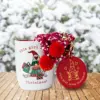 16oz Ceramic Mirror Charm Mug and Socks Gift Set - Peppermint & Pine