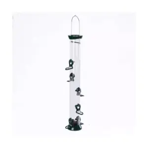 Birds Choice 24