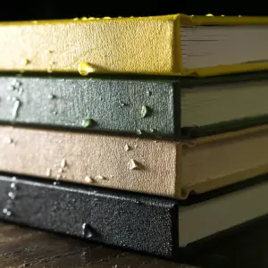 Casebound Notebook Special Ruled 6.75