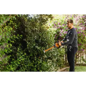 Worx WG284 24