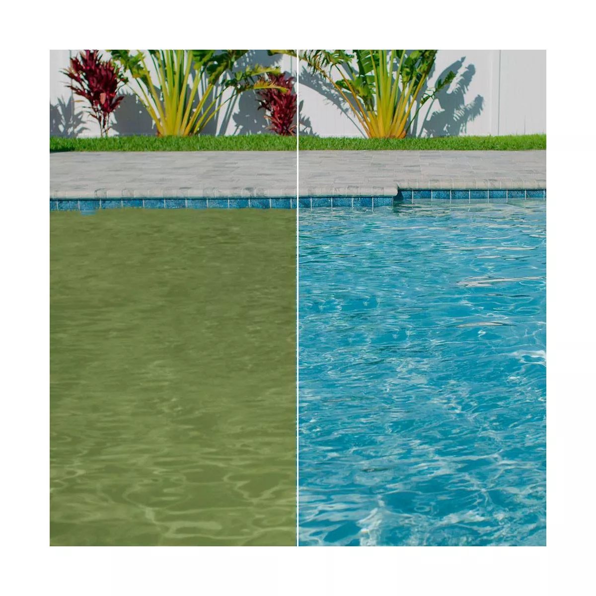 Clorox Algae Eliminate