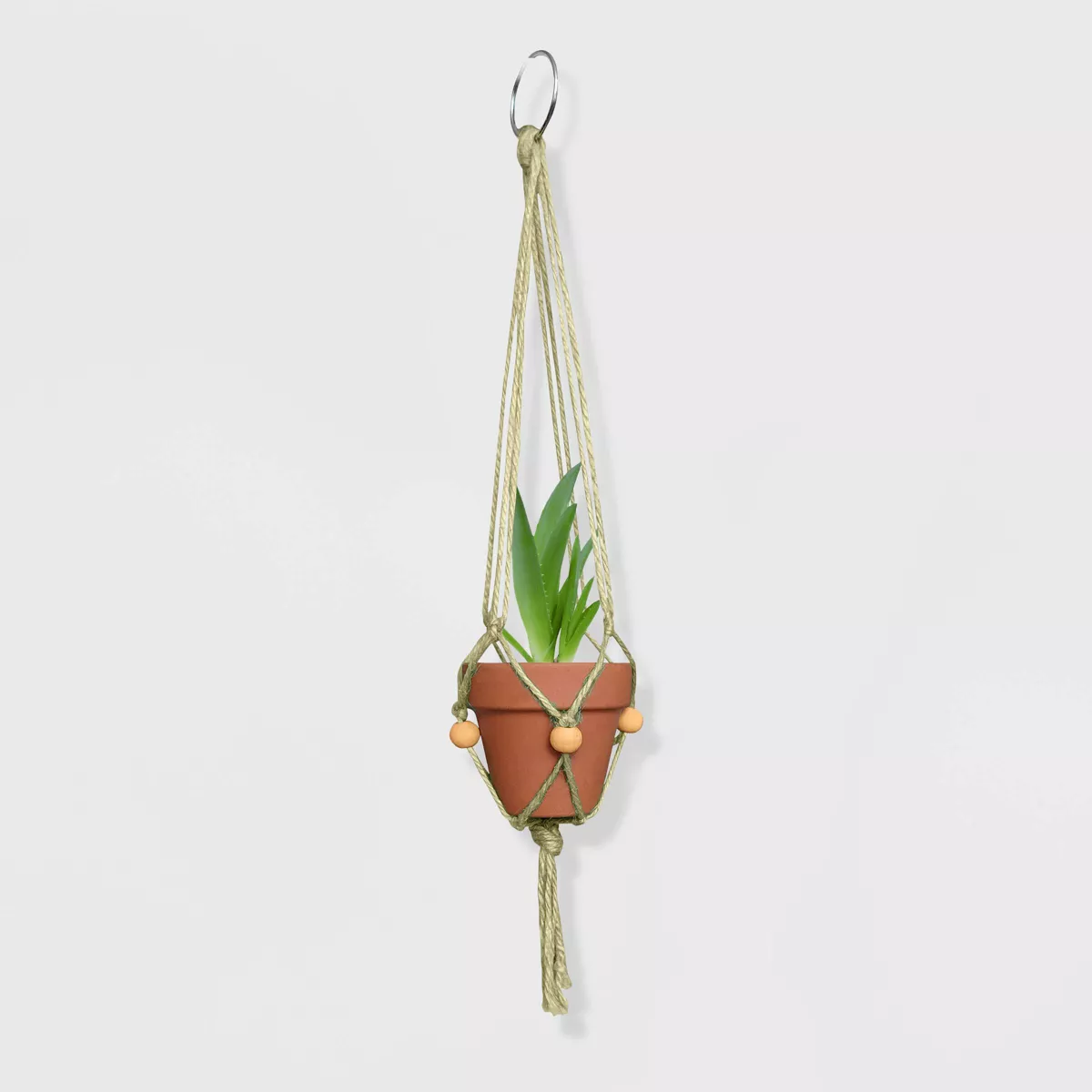 Buzzy Seeds 4ct Grow Kit Bundle with Macrame Kits