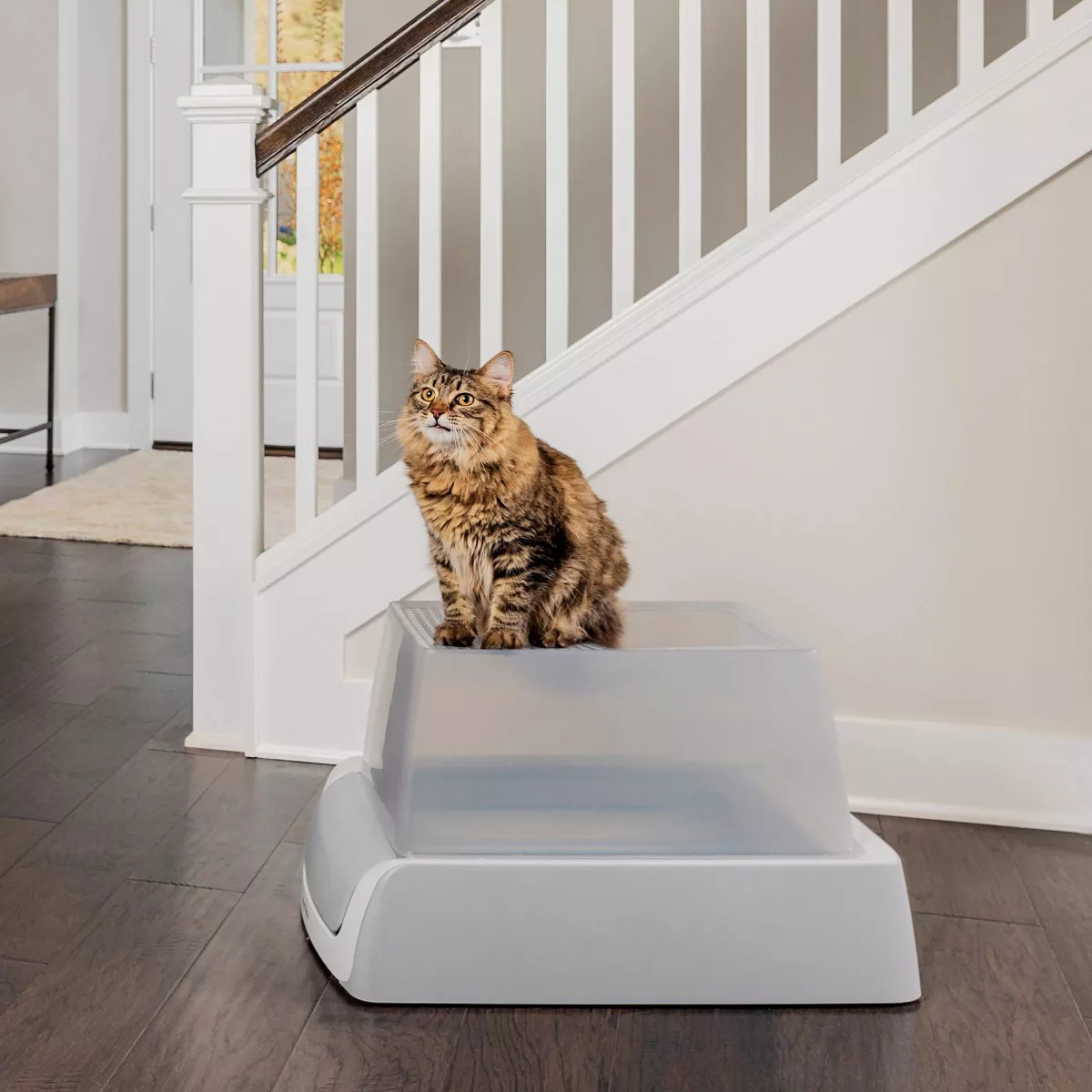PetSafe ScoopFree Covered Self-Cleaning Cat Litter Box