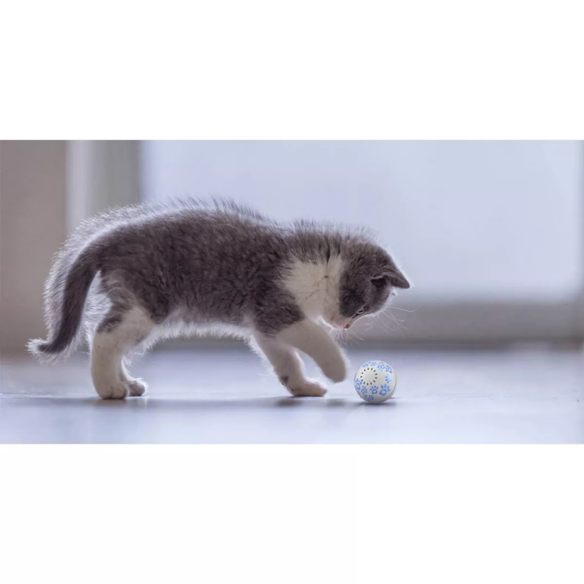 Pet Genius Smart Holiday Pet Play Ball