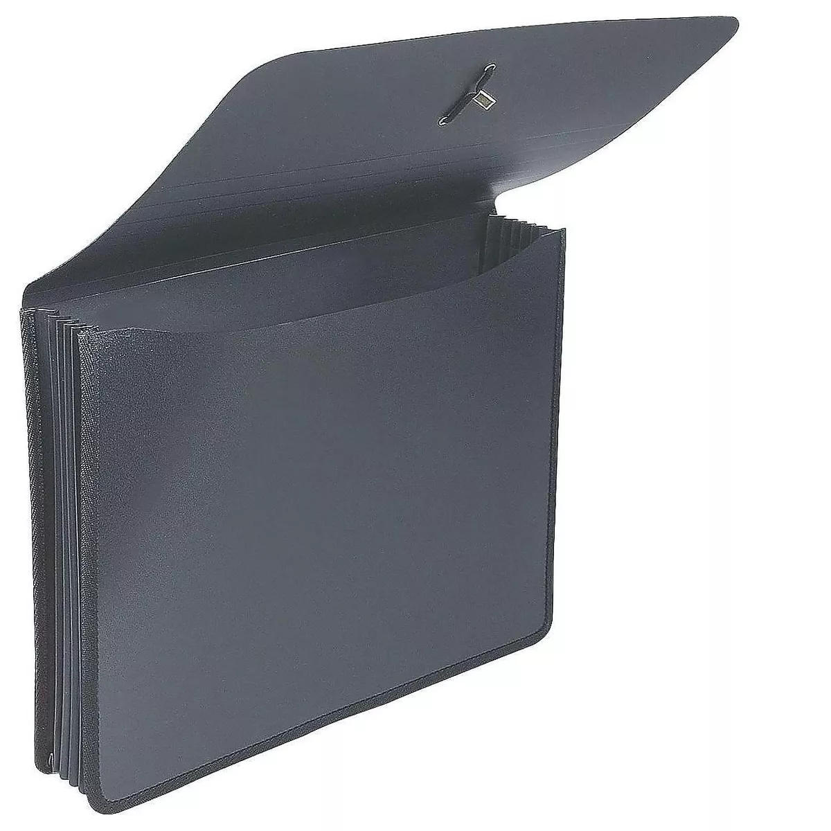 MyOfficeInnovations Poly Expanding Wallets Legal 5